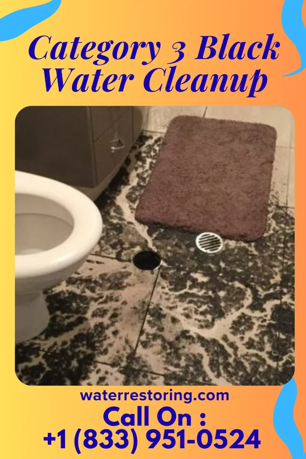 Category 3 Black Water Cleanup in Mill Spring, MO