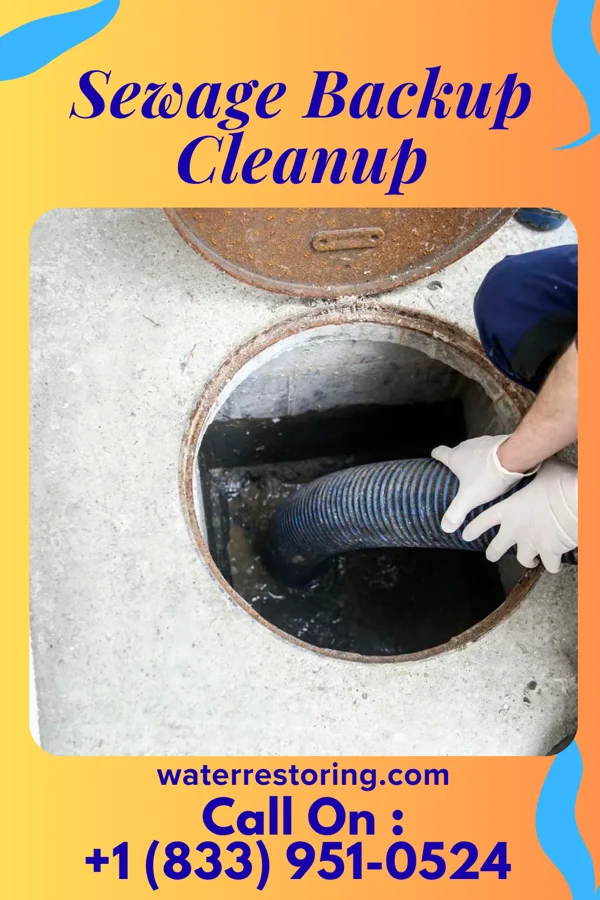 Sewage Backup Cleanup in Mill Spring, MO